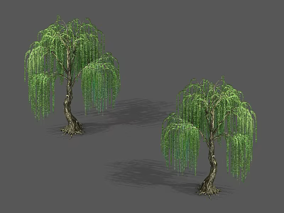 Two Weeping Willow Trees With Green Drooping Branches And Natural Trunks 3d model