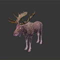 Detailed Brown Moose Sculpture With Large Antlers Standing On Dark Surface