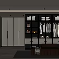 Modern Walk In Closet Design With Glass Door Cabinets Hanging Clothes Drawers And Bench