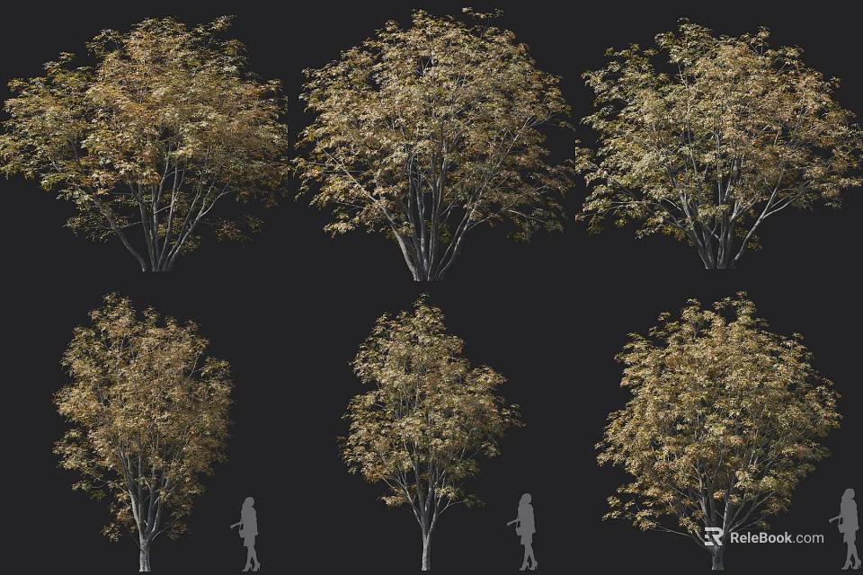 Six Trees in Full View with Amber Autumn Leaves and People for Size Reference 3d model 