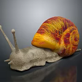 Colorful Snail With Orange And Red Striped Shell And Gray Body On Shiny Surface