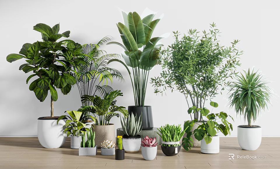Various Types of Indoor Potted Plants for Home Decor With Green Leaves And Flower Pots 3d model 