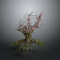 Withered Tree With Dry Trunk Branches And Green Mossy Roots On Dark Background