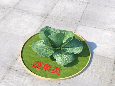 Fresh Green Cabbage on Round Green Mat for Vegetable Category 3d model