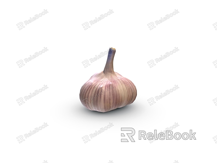 Vegetables Garlic model