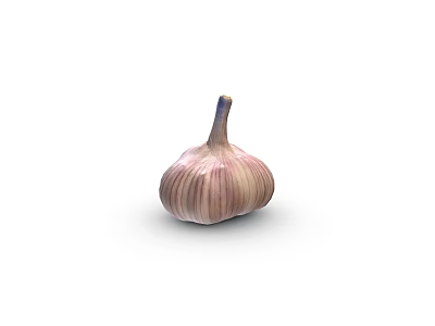 Fresh Garlic Bulb Vegetable with Purple White Striped Skin Isolated on White Background 3d model