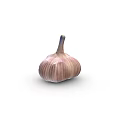 Fresh Garlic Bulb Vegetable with Purple White Striped Skin Isolated on White Background