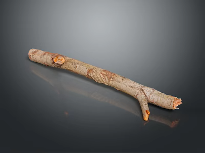 Natural Wooden Branch With Textured Surface Cuts And Reflection On Dark Background 3d model