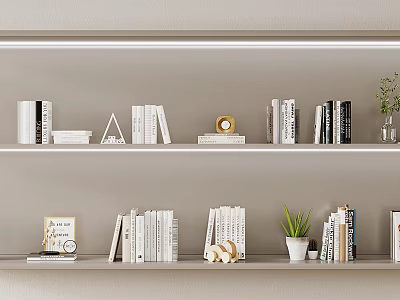 White Bookshelves Displaying Various Books with Decorative Items Like Plants And Frames 3d model