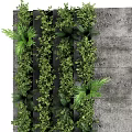 Lush Vertical Green Plant Wall with Mixed Foliage Against Concrete Background