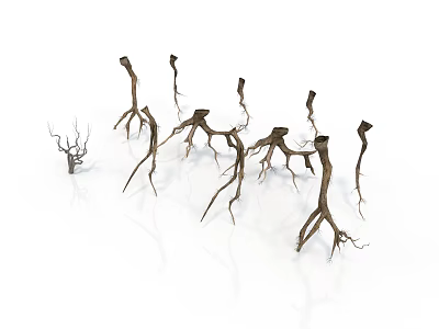 Arbor Tree Roots Display Natural Multiple Brown Twisted Structures On White Background 3d model
