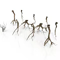 Arbor Tree Roots Display Natural Multiple Brown Twisted Structures On White Background 3d model