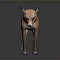Realistic Red Fox 3D Render with Orange Fur Black Legs and Ears
