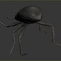 Dark Colored Beetle Model With Long Antennae Textured Body And Long Legs On Gray Background
