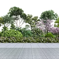 Diverse Plant Combination with Various Trees Flowering Shrubs and Green Foliage in Garden Landscape