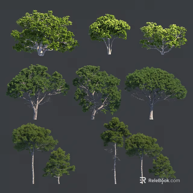 Different Types Of Arbor Trees With Green Foliage And Various Canopy Forms 3d model 