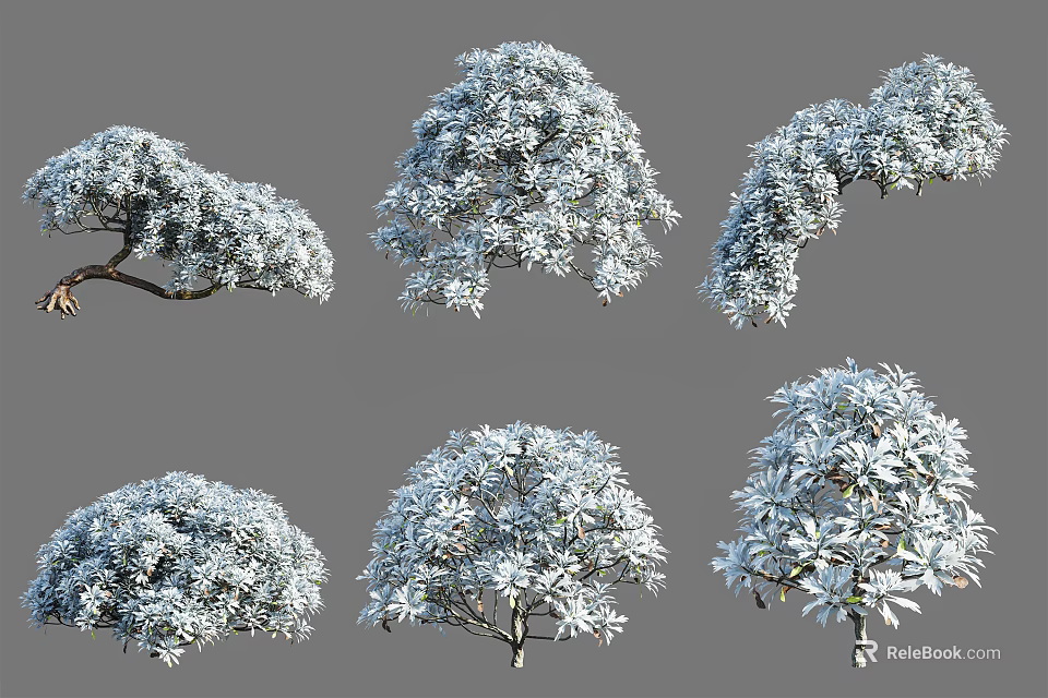 Arbor Trees In Various Forms With Lush White Canopies 3D Rendered Models 3d model 