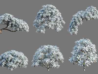 Arbor Trees In Various Forms With Lush White Canopies 3D Rendered Models 3d model
