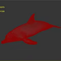 Spotting Dolphin Cartoon Dolphin Animation Dolphin Animation Dolphin Animation Character Game Character 3d model