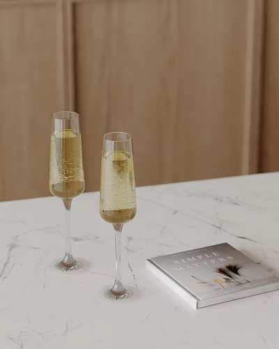 Decorative Ornament Set Featuring Two Champagne Glasses And Feather Decorated Book On Marble Countertop 3d model
