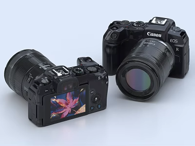 Canon Digital Cameras Mirrorless And DSLR Models With Lenses Screen Displaying Floral 3d model