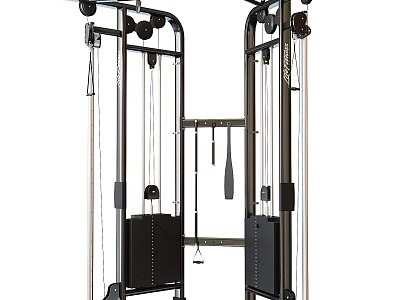 Sports equipment signature layer dumbbell rack life fitness 3d model