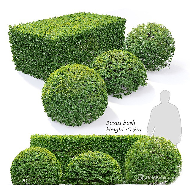 Buxus Bush In Various Shapes Cuboid And Spherical Forms With 0.9m Height For Garden Landscaping 3d model 