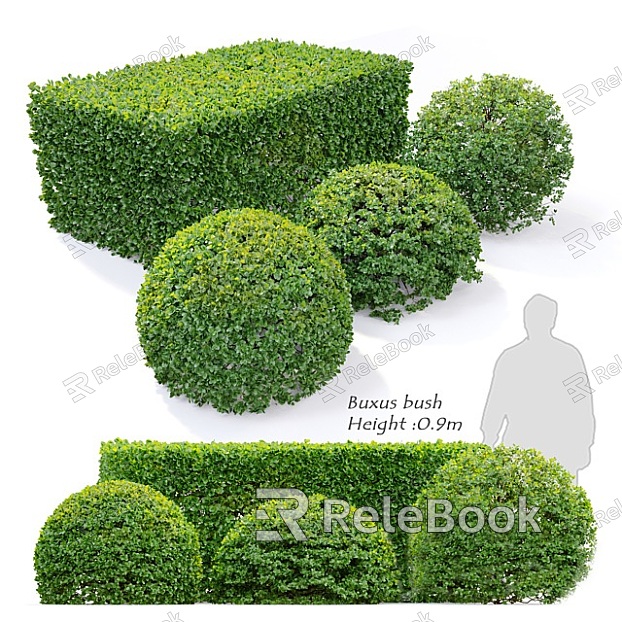 Plant Shrub Shrub Ball Hedgerow model