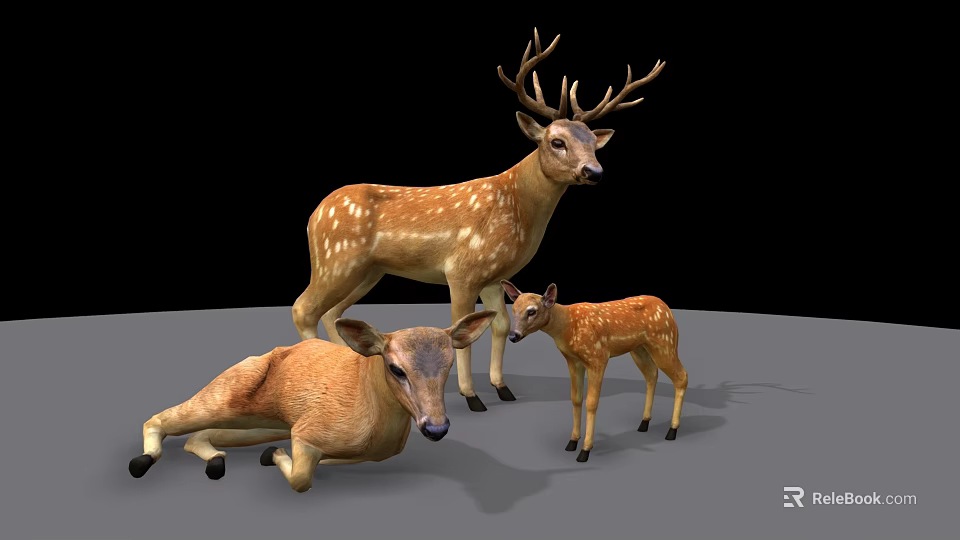 Reptile Family Group With Adult And Juvenile Members In Different Poses On Black Background 3d model 
