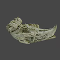 Detailed Animal Skull Skeleton With Natural Bone Texture And Hollow Eye Sockets