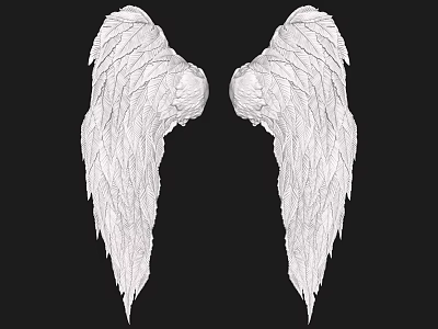 Elegant White Angel Wings Sculptural Wall Decor For Home Interior 3d model