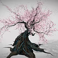 Ancient Tree With Thick Trunk And Twisted Roots Bearing Pink Flowers