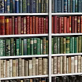 Colorful Books Neatly Arranged On Multiple Bookshelves With Various Colored Spines