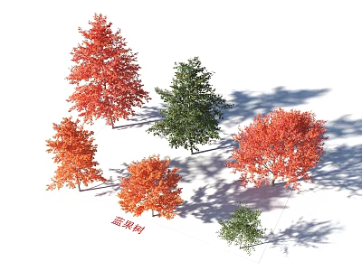 Arbor Nyssa Trees Display Red Orange And Green Foliage In Landscape Settings 3d model