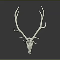 Realistic White Deer Skull With Large Antlers Displayed On Dark Reflective Background