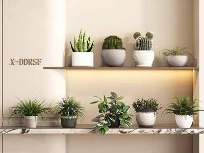 Various Green Potted Plants on Two Tiered Shelves with Marble Countertop and Warm Lighting 3d model