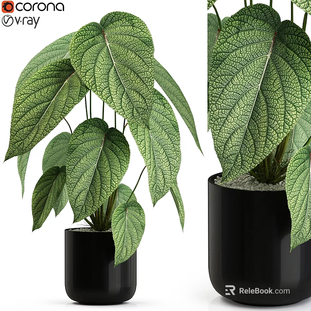 Garden Decor Piece With Large Green Textured Leaves In Black Planter 3d model 