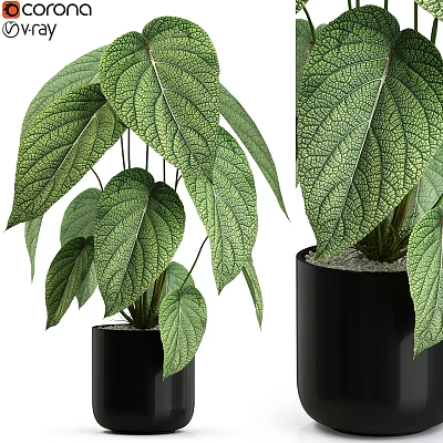 Garden Decor Piece With Large Green Textured Leaves In Black Planter 3d model