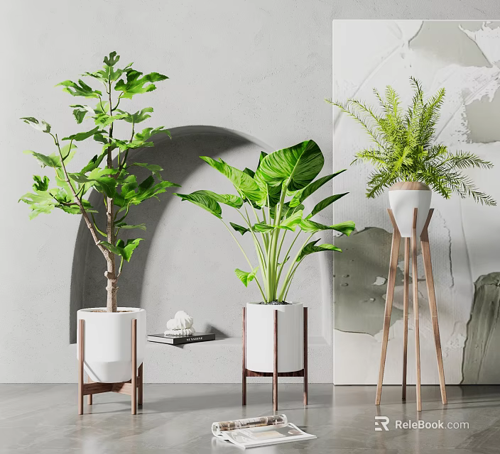 Different Types of Indoor Potted Green Plants in White Pots with Wooden Stands 3d model 