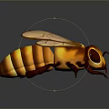 Detailed Illustration Of A Honey Bee With Transparent Wings And Striped Body