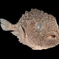 Spiky Brown Pufferfish Aquatic Animal With Large Eyes And Detailed Body Texture