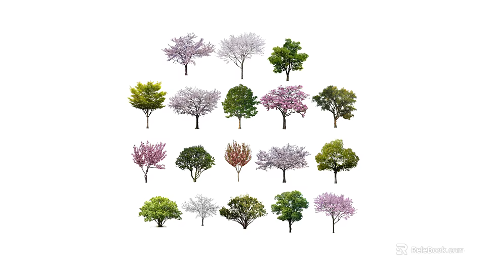 Diverse Arbor Trees Variety Showcasing Flowering Pink White Blossoms Green Purple Foliage 3d model 