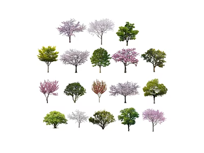 Diverse Arbor Trees Variety Showcasing Flowering Pink White Blossoms Green Purple Foliage 3d model
