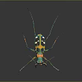 Vibrant Colorful Insect With Green Blue Yellow Patterns And Long Legs On Dark Background