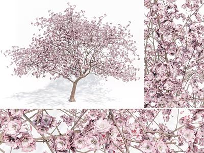 Graceful Ornamental Tree With Pink Blossoms And Delicate Branches 3d model