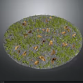 Green Grass With Yellow Fallen Leaves On Circular Landscape Surface