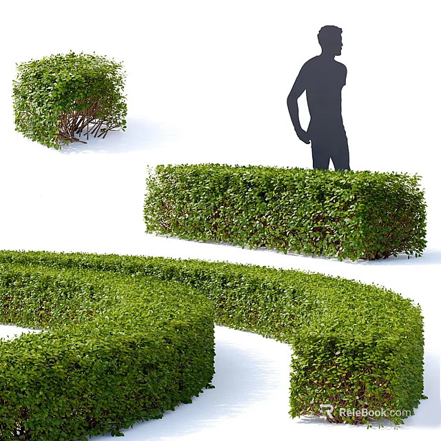 Various Pruned Shrub Forms In Garden Landscape Design With Human Silhouette 3d model 