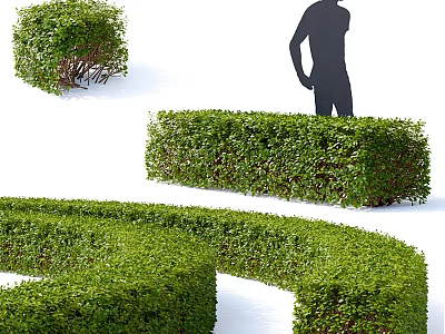 Various Pruned Shrub Forms In Garden Landscape Design With Human Silhouette 3d model