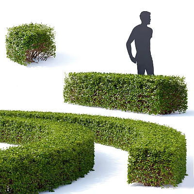 Various Pruned Shrub Forms In Garden Landscape Design With Human Silhouette 3d model