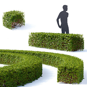 modern shrub arc-shaped shrub hedge combination outdoor shrub hedge flower bed green isolation belt 3d model